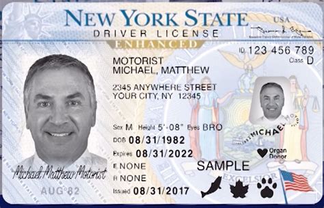 state issued enhanced driver's licenses